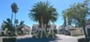 1437 Robin thumbnail 10