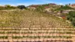 21384 Paseo Montana thumbnail 8