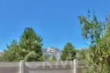 45743 Magnolia thumbnail 46