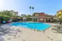 7809 Starling Drive thumbnail 4