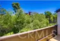 8085 Caminito De Pizza #S thumbnail 12
