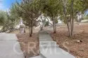 42761 Juniper thumbnail 59