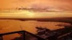 1205 Pacific Hwy #3101 thumbnail 8
