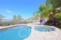 26784 Lemon Grass thumbnail 32