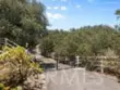 26690 Skyrocket thumbnail 45