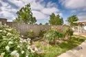 30291 Mondavi Circle thumbnail 38