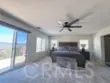 26784 Lemon Grass thumbnail 36