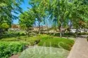 5828 Via Sonora thumbnail 25