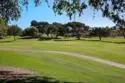 17461 Plaza Otonal thumbnail 23