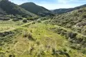 38355 Vista Del Bosque thumbnail 13