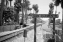 48 Paseo Verde thumbnail 47