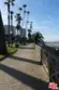 924 5th Street #10 thumbnail 22