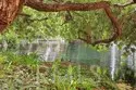 7890 E Spring #23A thumbnail 42