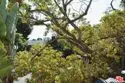 1328 Havenhurst Drive #202 thumbnail 40