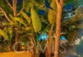 20331 Bluffside Circle # 105 thumbnail 28