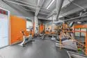 702 Ash Street #800 thumbnail 38