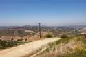 29412 Christiana Way thumbnail 33
