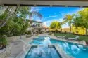 26843 Orchid Tree thumbnail 45