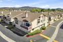 10150 Palm Glen Drive #34 thumbnail 22