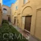 21128 Gladiolos thumbnail 2