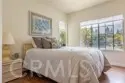 251 Gallery thumbnail 12