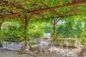 23505 Carancho Road thumbnail 63