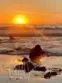 34134 Selva Road #248 thumbnail 41