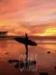 4156 Camino Lita thumbnail 36