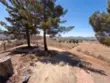 35095 Via Cerro thumbnail 44