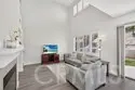 41211 Pine Tree thumbnail 23