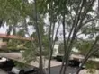 1361 Caminito Gabaldon #D thumbnail 2