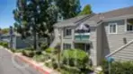 7402 Yellowtail Drive #201 thumbnail 30