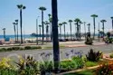 200 Pacific Coast Highway #329 thumbnail 30