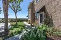 25051 Calle Playa C thumbnail 5