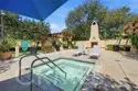 33 Nightshade thumbnail 22