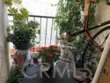 409 Burchett #220 thumbnail 11