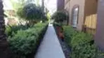 2250 Gill Village #909 thumbnail 17