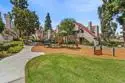 17945 Caminito Pinero #178 thumbnail 35