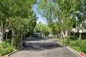 484 Rosemont Avenue thumbnail 13