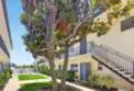 4099 Huerfano Avenue #113 thumbnail 18