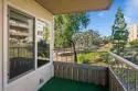 5704 Baltimore Drive #320 thumbnail 10