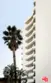 7250 Franklin Avenue #903 thumbnail 21