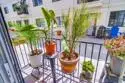 4205 Ohio Street #102 thumbnail 17