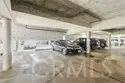 12585 Cluster Pines Road thumbnail 32