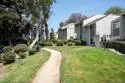 6333 College Grove Way #11103 thumbnail 22