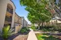 7120 Shoreline Drive #2303 thumbnail 39