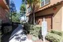 47 Aliso Ridge Loop thumbnail 8