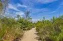 13020 Pacific Promenade #102 thumbnail 53
