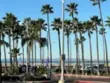 600 E Oceanfront 1d thumbnail 22