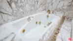 1220 Roxbury Drive #302 thumbnail 34